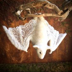 an animal is hanging upside down from the ceiling with lace on it's wings