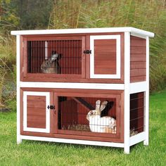 two rabbits are in their cages on the grass near some tall grass and bushes