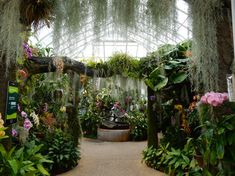 the inside of a greenhouse filled with lots of plants and flowers on display for people to see