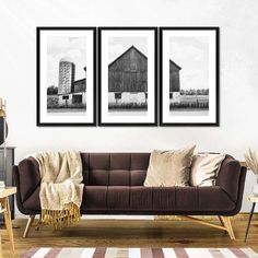 three black and white photographs hang on the wall above a couch in a living room