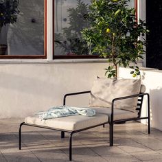 a chair sitting on the side of a building next to a potted lemon tree