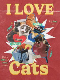 a red poster with pictures of cats and words that say i love cats on it