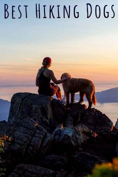 a woman sitting on top of a mountain next to a dog with the words best hiking dogs