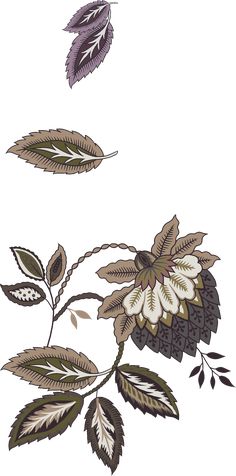 an image of leaves and flowers on a white background