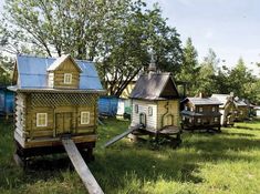 many small wooden houses are in the grass