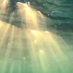 sunlight shining down on the water from under the ocean surface, with light streaming through it