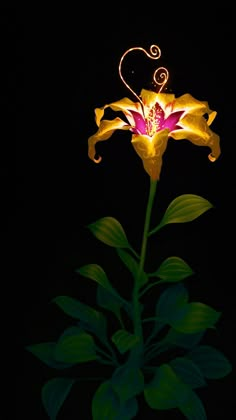 a flower that is glowing in the dark