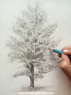 someone is drawing a tree with colored pencils