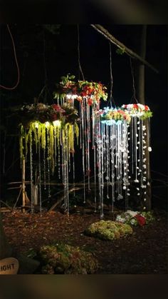 a group of lights hanging from the side of a tree in the woods at night