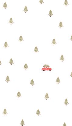 a red car driving down a street next to tall pine trees on a white background