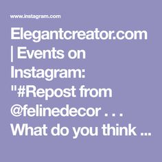 the text reads elegantreator com events on instagram repost from @ felinedecor what do you think?