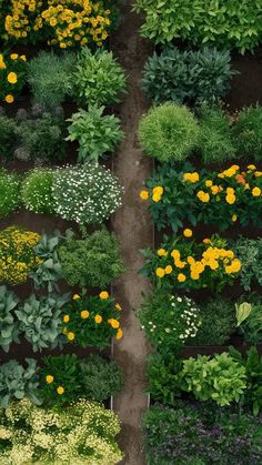 many different types of plants growing in the ground with yellow and white flowers on them