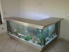 an aquarium with fish and corals in it on top of a tiled floor next to a wall