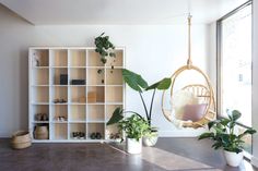 a living room filled with lots of plants next to a book shelf and window sill