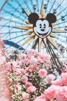 a ferris wheel and pink flowers in the foreground with a mickey mouse face on it