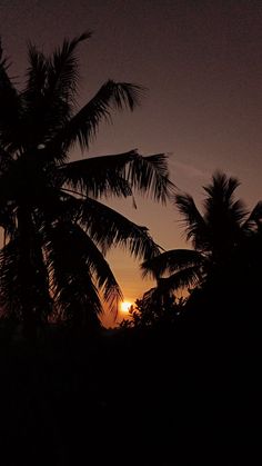 the sun is setting behind some palm trees