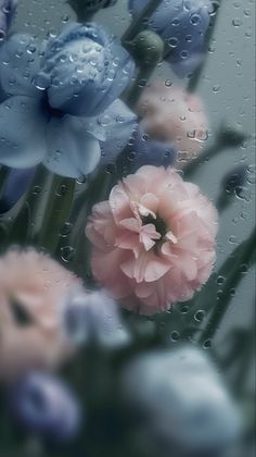 some flowers that are outside in the rain