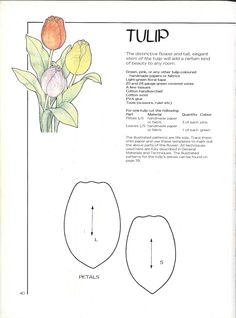 the instructions for tulips are shown in this page, which shows how to draw them