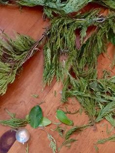 the scissors are laying next to some green plants