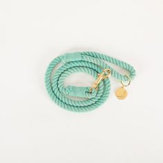 a dog leash with a gold metal hook on the end and a green rope attached to it