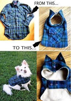 the instructions for how to make a dog shirt