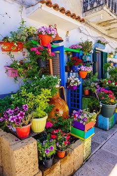 many potted plants on the side of a building