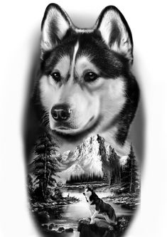 a black and white photo of a husky dog in front of a mountain lake with snow capped mountains