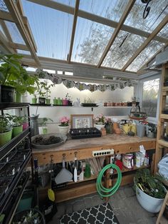 a kitchen with lots of pots and plants in it