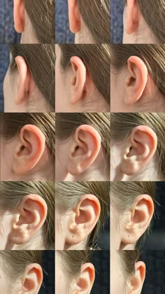 multiple images of different types of ears and their corresponding parts are shown in this image