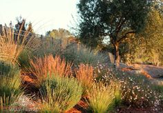 the grass and flowers are growing on the hillside