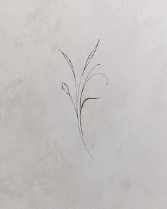 a black and white drawing of a flower on a wall