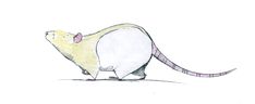 a drawing of a rat with its mouth open and tongue out, standing in front of a white background