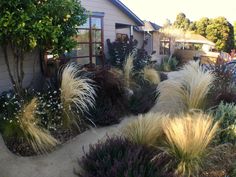 a house with lots of plants in front of it