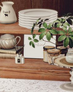 there is a potted plant sitting on the shelf next to plates and other items