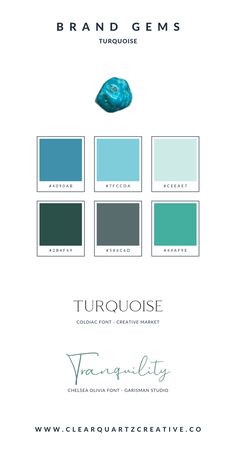 the brand name and color scheme for turquiose