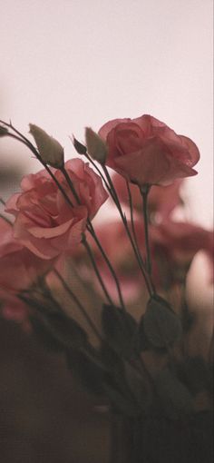 some pink roses are in a vase on the table and one is blurry behind them