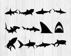 the silhouettes of sharks and shark finks are shown on a white wooden background