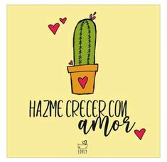 a cactus in a pot with the words hazme crecee con amo