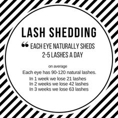 Jul 15, 2018 - Has your lash tech explained to you the growth cycle of your eyelashes? Everyone sheds 2-5 natural lashes everyday. This is why you have to get them filled for Lash Tricks, Applying False Lashes, Gene False, Info Board, Eyelash Extentions, Salon Suites, Lash Tech