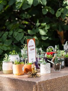 several potted plants are on a table with a sign that says let love grow