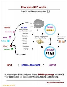 an info sheet with the words how does nip work?