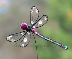 a close up of a dragonfly with beads on it's wings