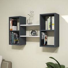 two bookshelves are hanging on the wall next to a potted plant