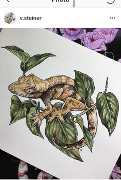 a drawing of a gecko sitting on top of a green leafy plant with purple flowers in the background