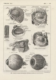 an old book with pictures of different parts of the eye