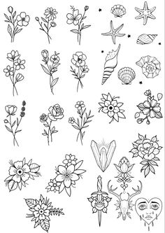 the different flowers are drawn in black and white