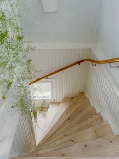 the stairs are made of wood and have wooden handrails, along with a plant