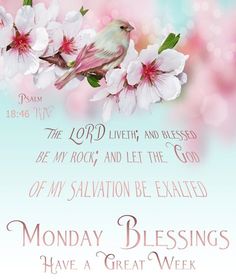 a card with flowers and a bird on it that says, monday blessing have a great week