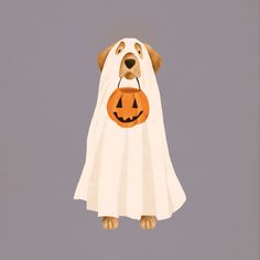 a dog wearing a ghost costume with a jack o lantern on it's chest