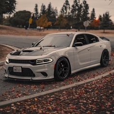 the white dodge charger is parked on the side of the road with autumn leaves around it